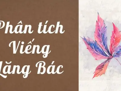 Tổng hợp bài phân tích viếng lăng Bác hay nhất