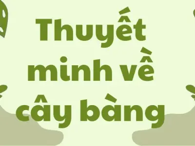 Bài văn mẫu lớp 9: Thuyết minh về cây bàng chi tiết nhất