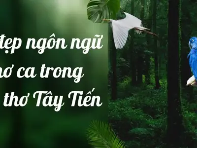 Phân tích vẻ đẹp ngôn ngữ thơ ca trong bài thơ Tây Tiến lớp 12