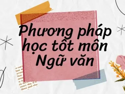 Cách học văn hiệu quả? Bí quyết để thành công trong học tập