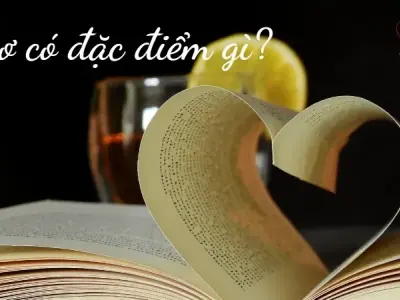 Thơ có đặc điểm gì? Bí quyết nhận diện các thể loại thơ khác nhau