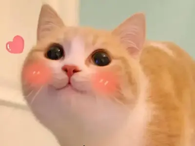Những meme cute siêu dễ thương bạn không thể bỏ lỡ