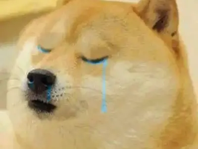 Top meme Cheems siêu dễ thương khiến bạn không thể nhịn cười