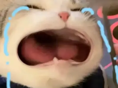 50+ Crying meme hài hước nhất được yêu thích mọi thời đại