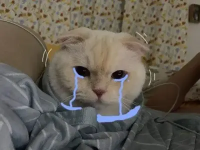 Khám phá những cry meme đáng yêu gây bão mạng xã hội