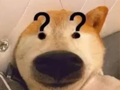 Bộ meme dog độc đáo khiến bạn cười không ngậm được miệng