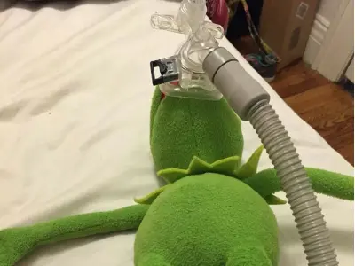 Những ếch meme đáng yêu nhất mà bạn không thể bỏ qua