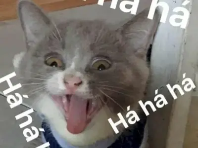 Cập nhật ảnh meme hài hước hot nhất mạng xã hội hiện nay