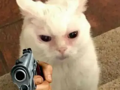 Meme bắn súng cực hài hước khiến bạn không thể nhịn cười