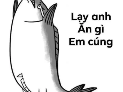 Cười đến đau bụng với meme lạy hài hước đang làm mưa làm gió