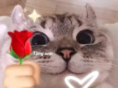 Top meme tặng hoa hài hước đưa bạn đến thế giới tình yêu