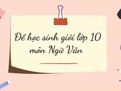 Đề thi học sinh giỏi lớp 10 môn Văn chất lượng cao