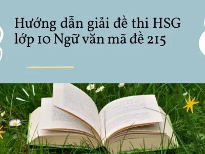 Hướng dẫn chi tiết giải mã đề 215 HSG lớp 10 môn Ngữ văn
