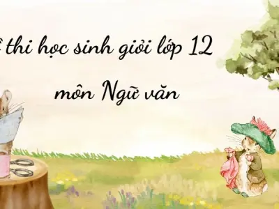 Đề thi học sinh giỏi lớp 12 môn văn - Hay và khó!