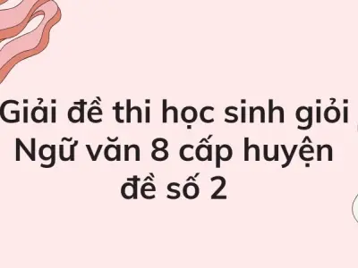 Giải đề thi học sinh giỏi Ngữ văn 8 cấp huyện đề số 2