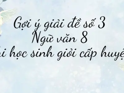 Gợi ý giải đề số 3 Ngữ văn 8 thi học sinh giỏi cấp huyện