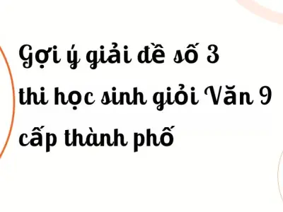 Gợi ý giải đề số 3 thi học sinh giỏi Văn 9 cấp thành phố