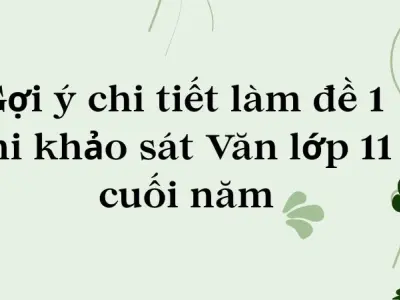 Gợi ý chi tiết làm đề 1 thi khảo sát Văn lớp 11 cuối năm