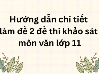 Hướng dẫn chi tiết làm đề 2 đề thi khảo sát môn văn lớp 11