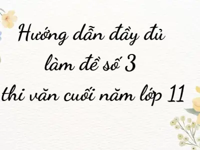 Hướng dẫn đầy đủ làm đề số 3 thi văn cuối năm lớp 11