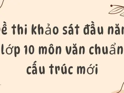Đề thi khảo sát đầu năm lớp 10 môn văn chuẩn cấu trúc mới