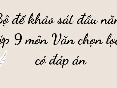 Bộ đề khảo sát đầu năm lớp 9 môn Văn chọn lọc, có đáp án