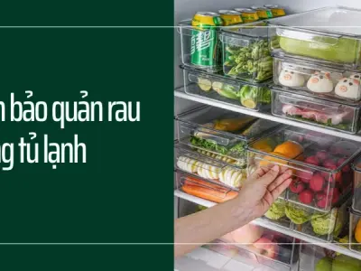 Bí quyết bảo quản rau tươi lâu cả tuần vẫn xanh mướt