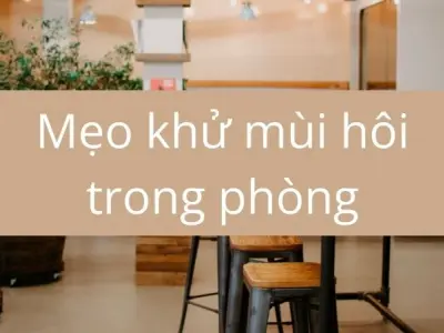 Mẹo khử mùi hôi trong phòng do ẩm mốc và bụi bẩn