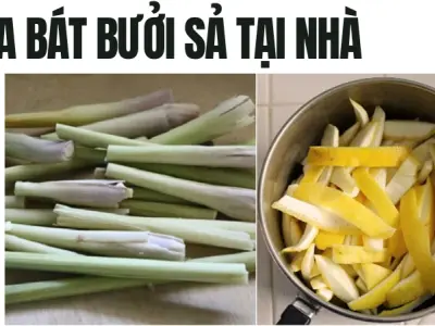 Tự làm nước rửa bát vỏ bưởi sả- Sạch bóng và mềm da tay