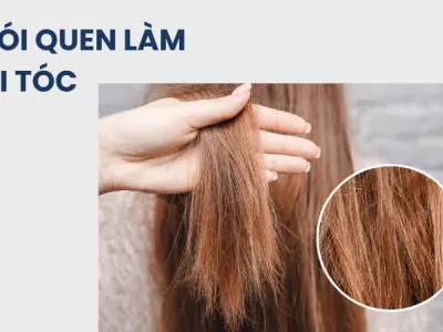 Chăm sóc tóc đúng cách để hạn chế gãy rụng và nuôi dưỡng nang tóc