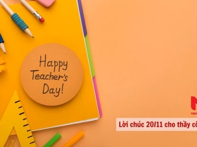 100+ Lời Chúc 20/11 Ý Nghĩa Dành Tặng Thầy Cô Năm 2026