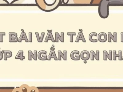 Các mẫu kết bài tả con mèo hay và sáng tạo cho học sinh