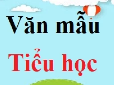 Cách viết mở bài nghị luận xã hội thu hút và hiệu quả