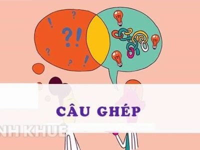 Giải thích chi tiết về câu ghép trong tiếng Việt