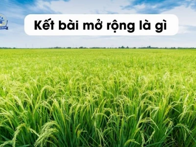 Hướng dẫn chi tiết cách viết kết bài mở rộng và không mở rộng cho bài văn tả cảnh