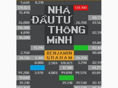 Hướng dẫn đọc sách Nhà Đầu Tư Thông Minh chuẩn chuyên gia
