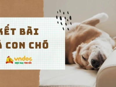 Kết bài mở rộng tả con chó: Hoàn thiện bài văn lớp 4