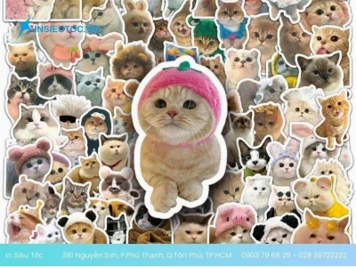 Khám phá thế giới sticker mèo chibi cute: Mẫu mã đa dạng, dễ thương khó cưỡng