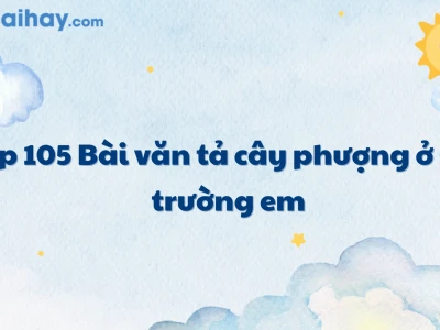 Khám phá Vẻ đẹp Cây Phượng: Bài Văn Mẫu Tả Cây Phượng Vĩ Đầy Cảm Xúc