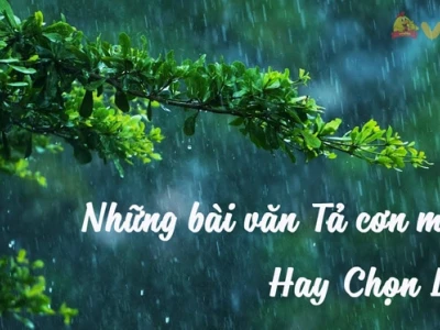 Khám phá vẻ đẹp của cơn mưa: Bài văn mẫu tả cơn mưa lớp 5 và trải nghiệm