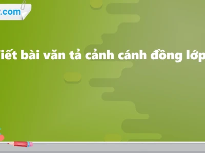 Khám phá vẻ đẹp văn mẫu tả cánh đồng lúa quê em
