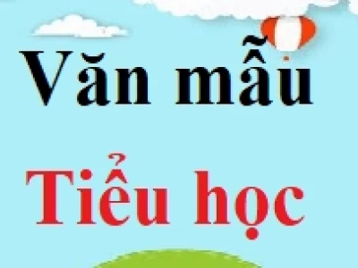 Mở bài nghị luận xã hội: Hướng dẫn chi tiết và các dạng bài hay nhất