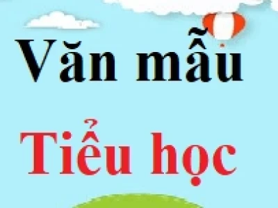 Mở bài văn nghị luận xã hội: Cẩm nang chi tiết cho học sinh 2026