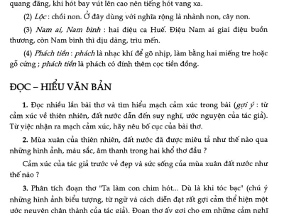 Phân tích bài thơ Mùa xuân nho nhỏ của Thanh Hải