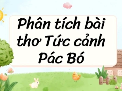 Phân Tích Bài Thơ Tức Cảnh Pác Bó: Vẻ Đẹp Ý Chí và Tâm Hồn Hồ Chí Minh