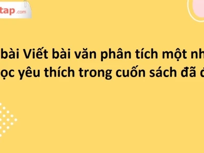 Phân tích chuyên sâu nhân vật văn học yêu thích trong tác phẩm bạn đã đọc