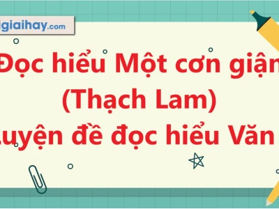 Phân tích sâu sắc truyện ngắn một cơn giận của nhà văn Thạch Lam