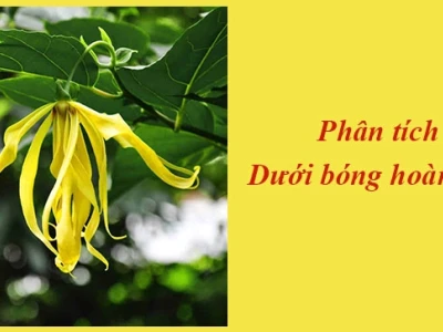 Phân tích sâu tác phẩm Dưới bóng hoàng lan của Thạch Lam