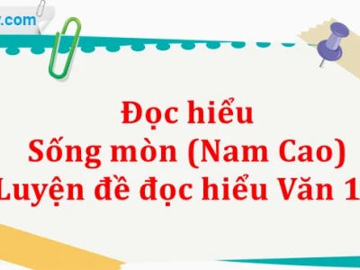 Phân tích tác phẩm sống mòn kiệt tác văn học của nhà văn Nam Cao