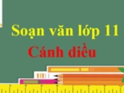 Phân tích tác phẩm trái tim đan kô chi tiết và đầy đủ nhất 2026